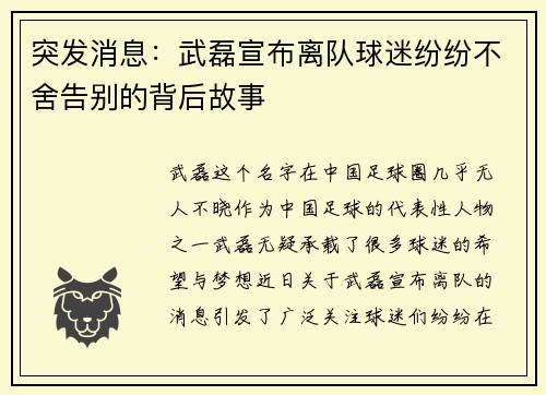 突发消息：武磊宣布离队球迷纷纷不舍告别的背后故事
